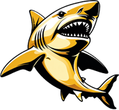 The ultimate solo player - the great white shark